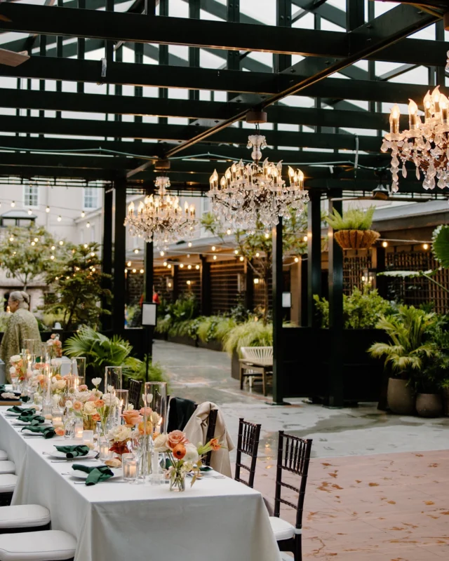 Photo associated with the Instagram post at https://www.instagram.com/p/DRSZ3gmE2-g/