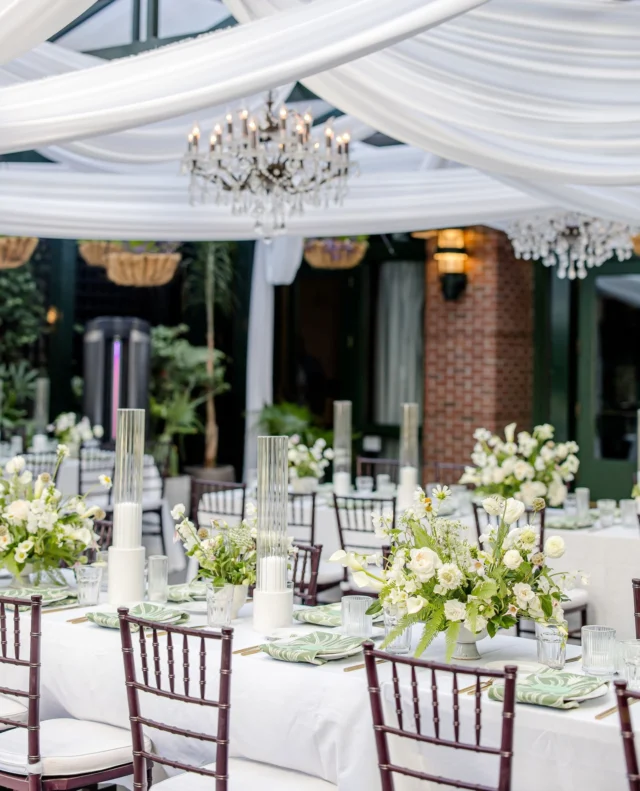 Photo associated with the Instagram post at https://www.instagram.com/p/DTN2XXmEtUt/