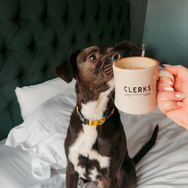 Photo associated with the Instagram post at https://www.instagram.com/p/DTLbJZlktls/