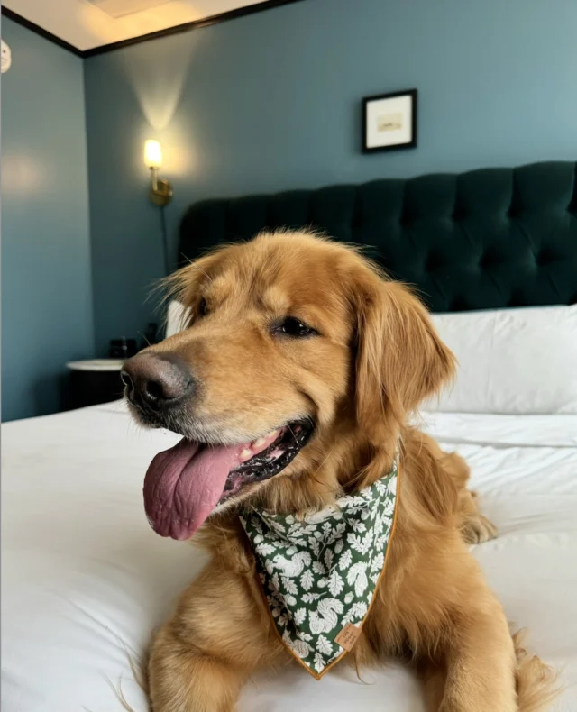 Photo associated with the Instagram post at https://www.instagram.com/p/DW4Nbi9E9Rk/