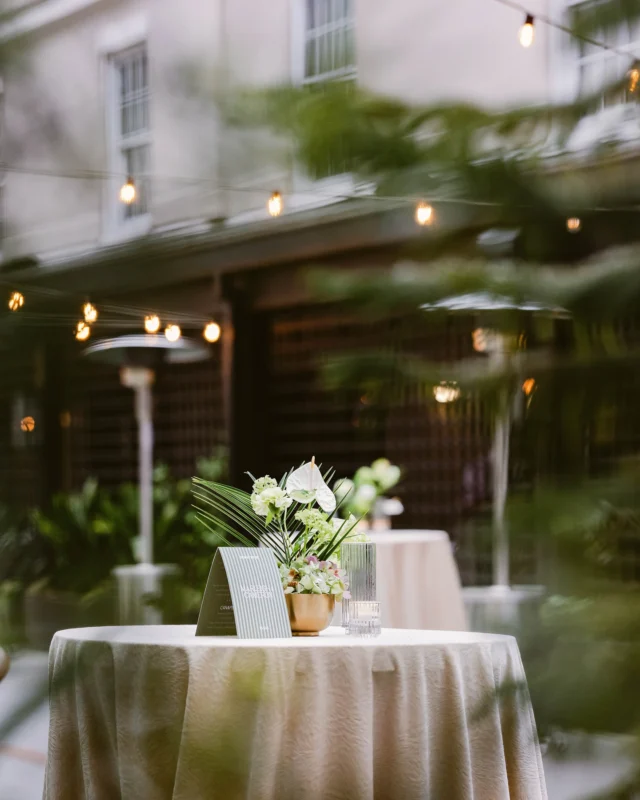 Photo associated with the Instagram post at https://www.instagram.com/p/DXKO-3xEoXe/